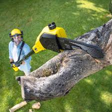 Best Tree Preservation Services  in Ringwood, NJ